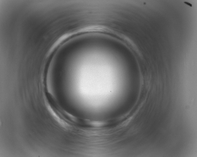X0000083071422200702021243