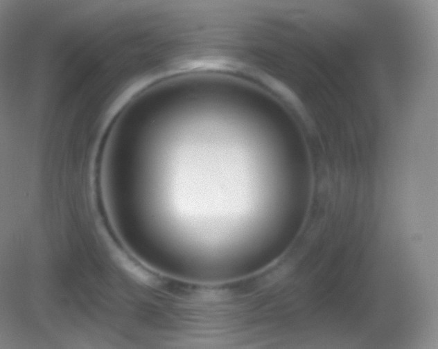 X0000083071423200702021243