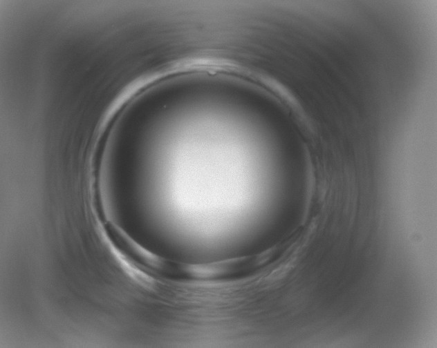 X0000083071430200702021243