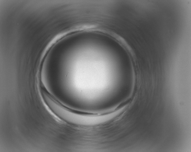 X0000083071432200702021243