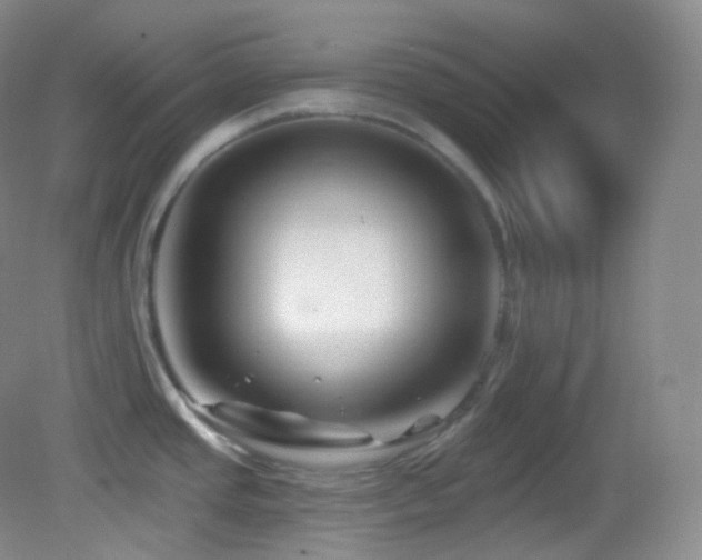 X0000083071437200702021243