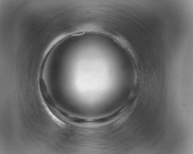 X0000083071438200702021243