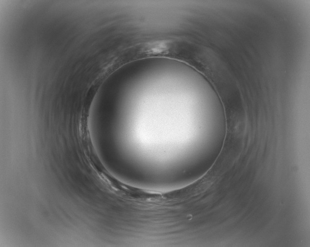 X0000083071442200702021243