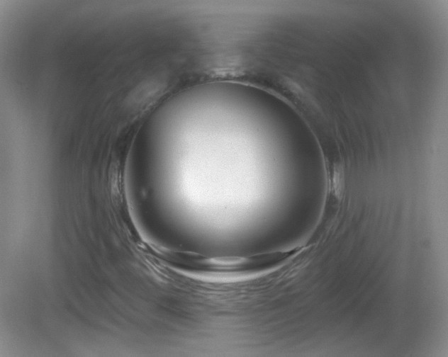 X0000083071444200702021242