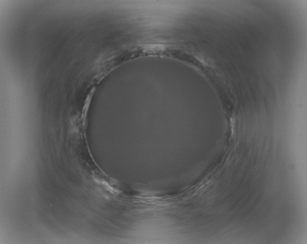 X0000083071445200702021242