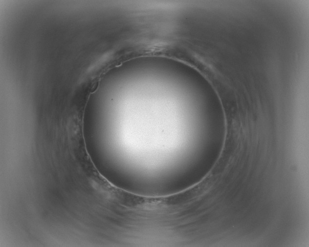 X0000083071447200702021242
