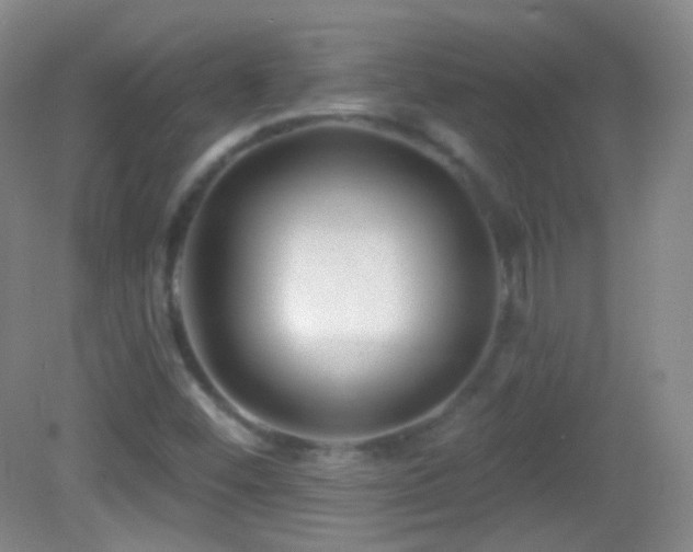 X0000083071452200702021242