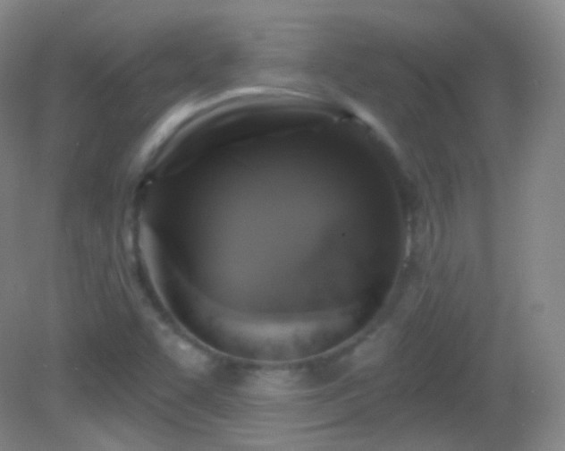 X0000083071455200702021242