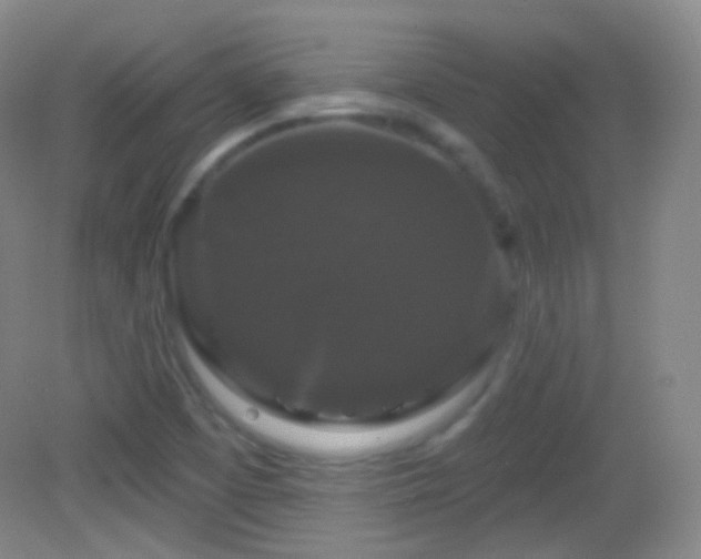 X0000083071457200702021242