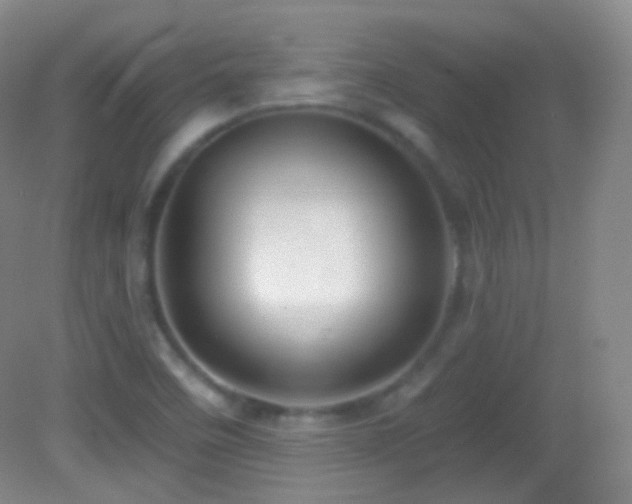 X0000083071458200702021242
