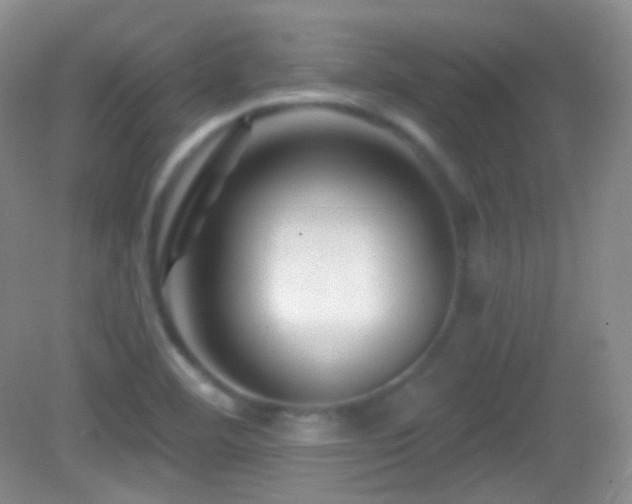 X0000083071460200702021242
