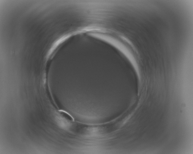 X0000083071461200702021242