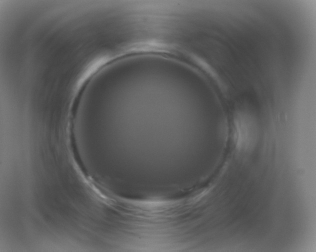 X0000083071463200702021242