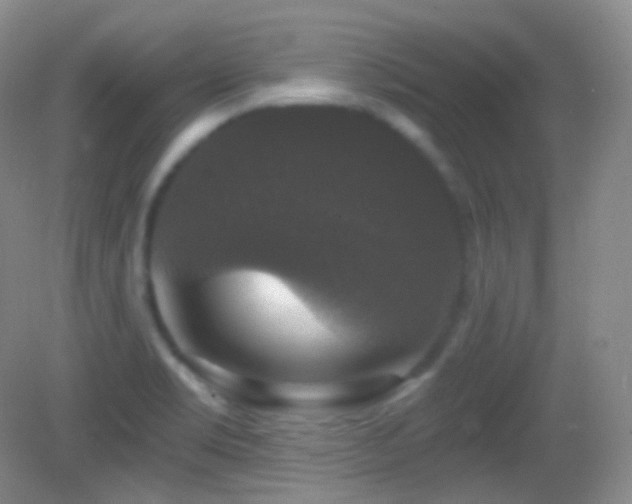X0000083071469200702021242