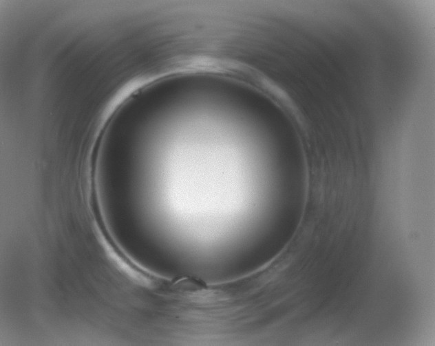 X0000083071479200702021242