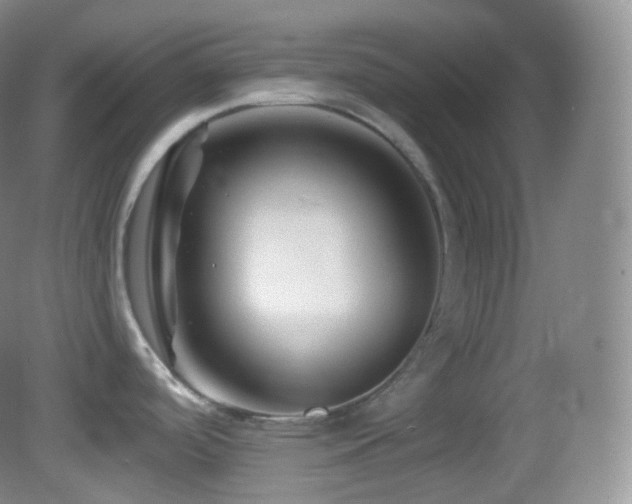 X0000083071488200702021242