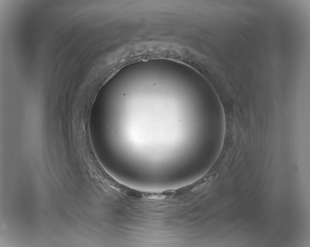 X0000083071489200702021241