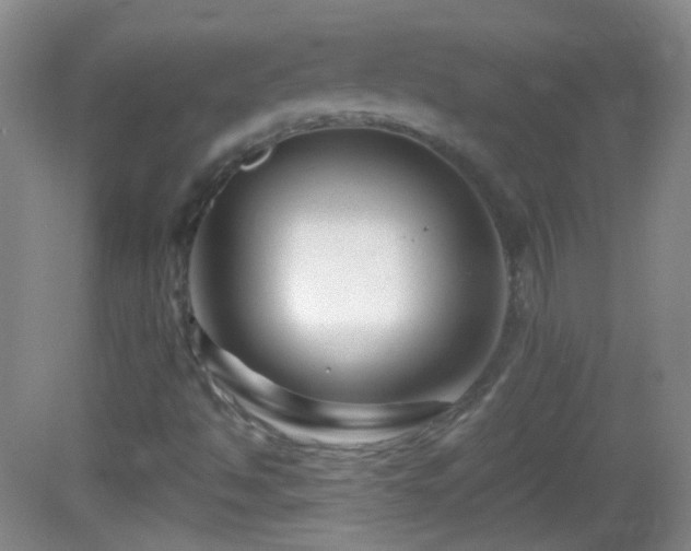 X0000083071494200702021241