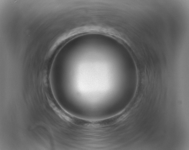 X0000083071499200702021241