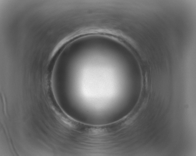 X0000083071501200702021241