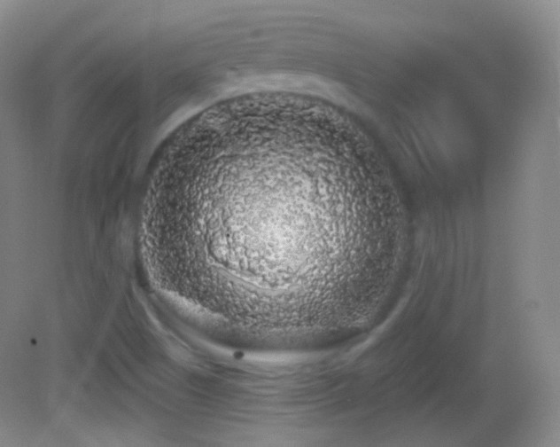 X0000083071505200702021241