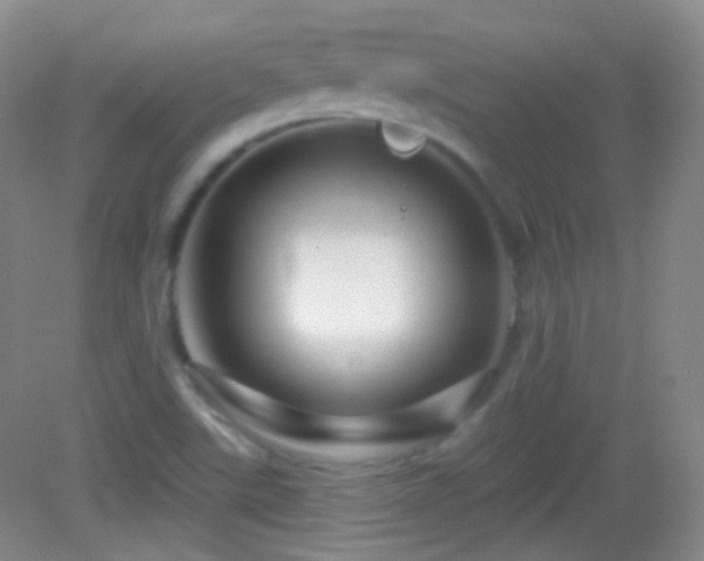 X0000083071507200702021241