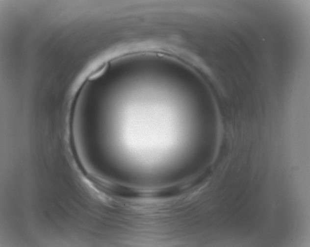 X0000083071512200702021241