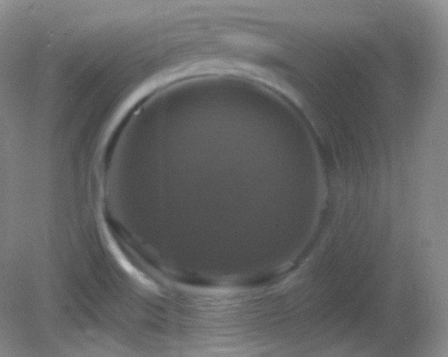 X0000083071515200702021241