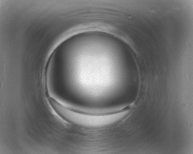 X0000083071516200702021241