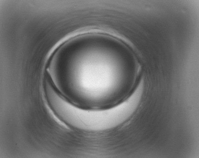X0000083071518200702021241
