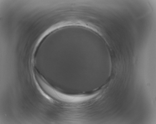 X0000083071519200702021241