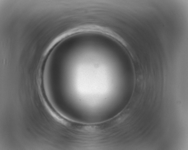 X0000083071523200702021242