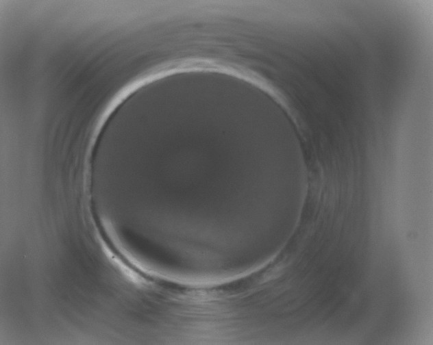 X0000083071527200702021242