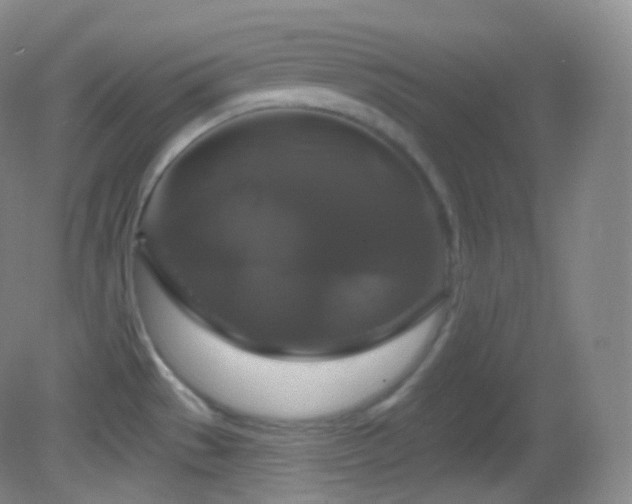 X0000083071529200702021242