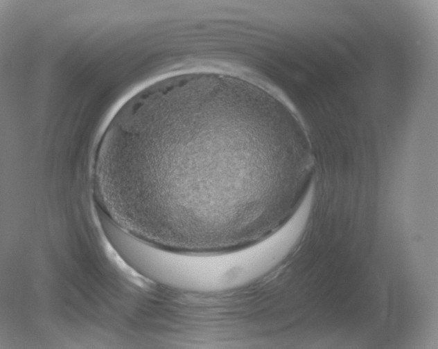 X0000083071532200702021242