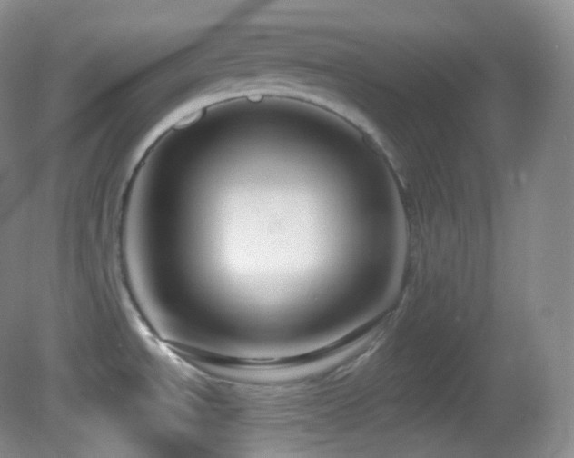 X0000083071534200702021242