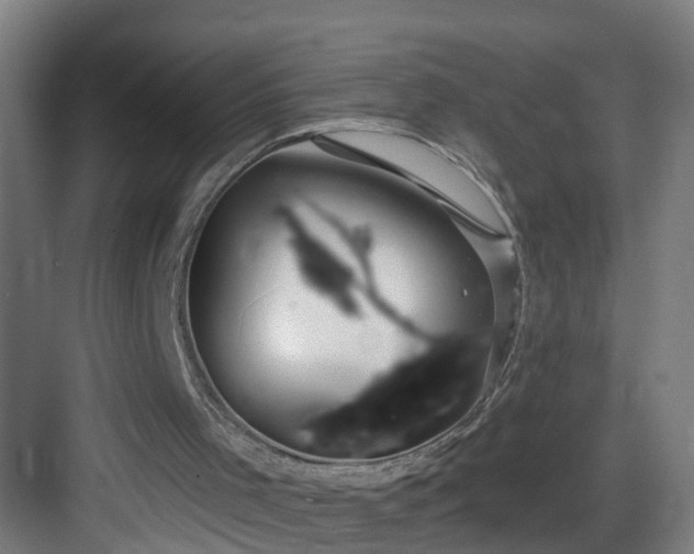 X0000083070001200702091542