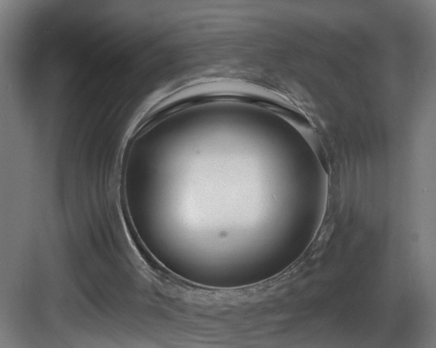 X0000083070003200702091542
