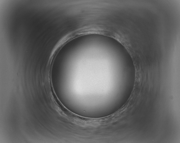 X0000083070004200702091542