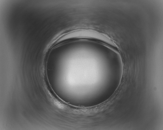 X0000083070005200702091542