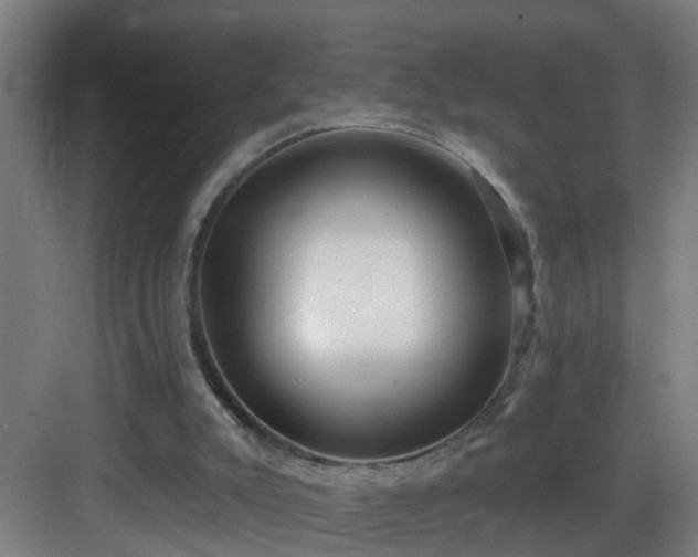 X0000083070007200702091542