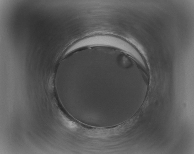 X0000083070009200702091542