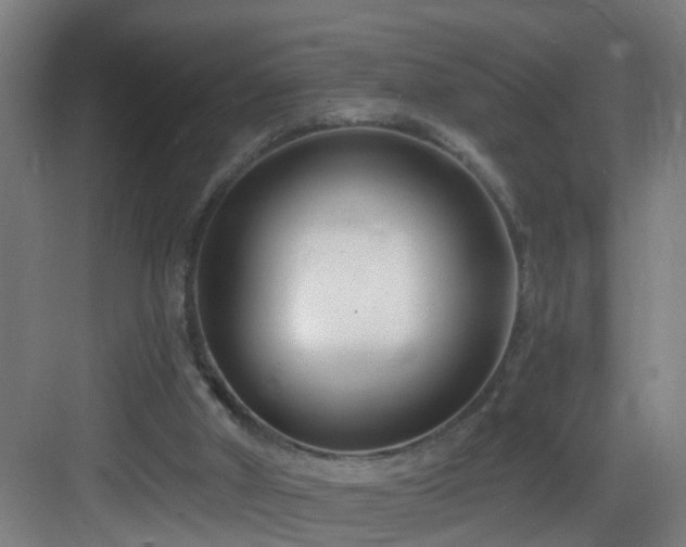 X0000083070010200702091542