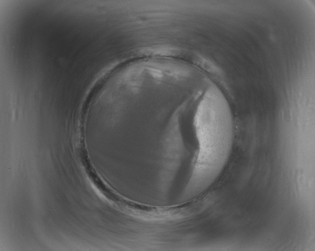 X0000083070012200702091542