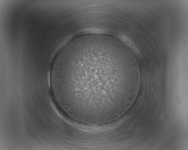 X0000083070014200702091542