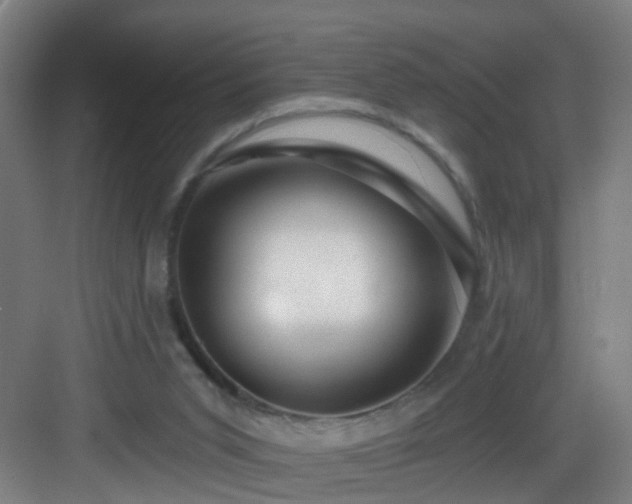 X0000083070015200702091542