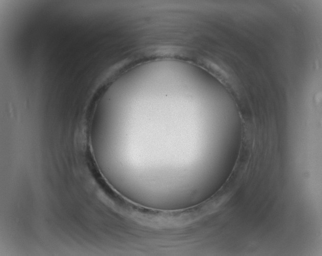 X0000083070016200702091542