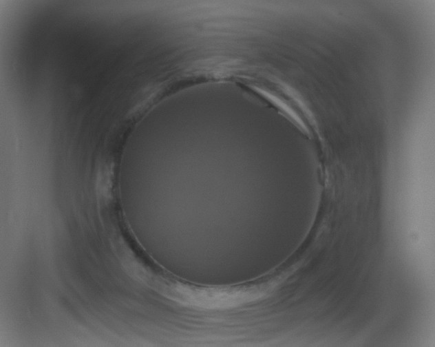 X0000083070018200702091542