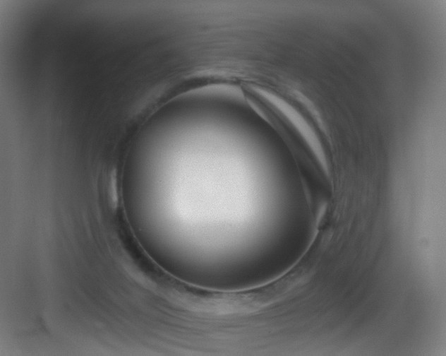 X0000083070020200702091542