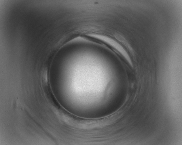 X0000083070021200702091542
